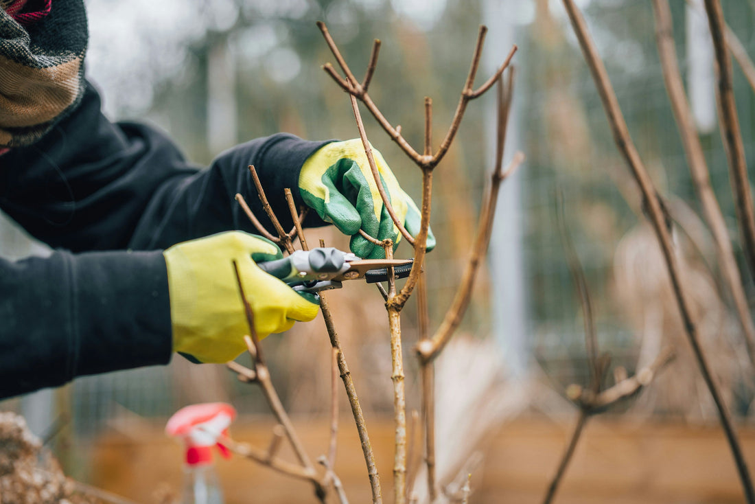 A Simple Guide to the 9 Most Used Glove Materials
